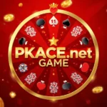  PKACE.net Game Download Earning (APP )Android Users